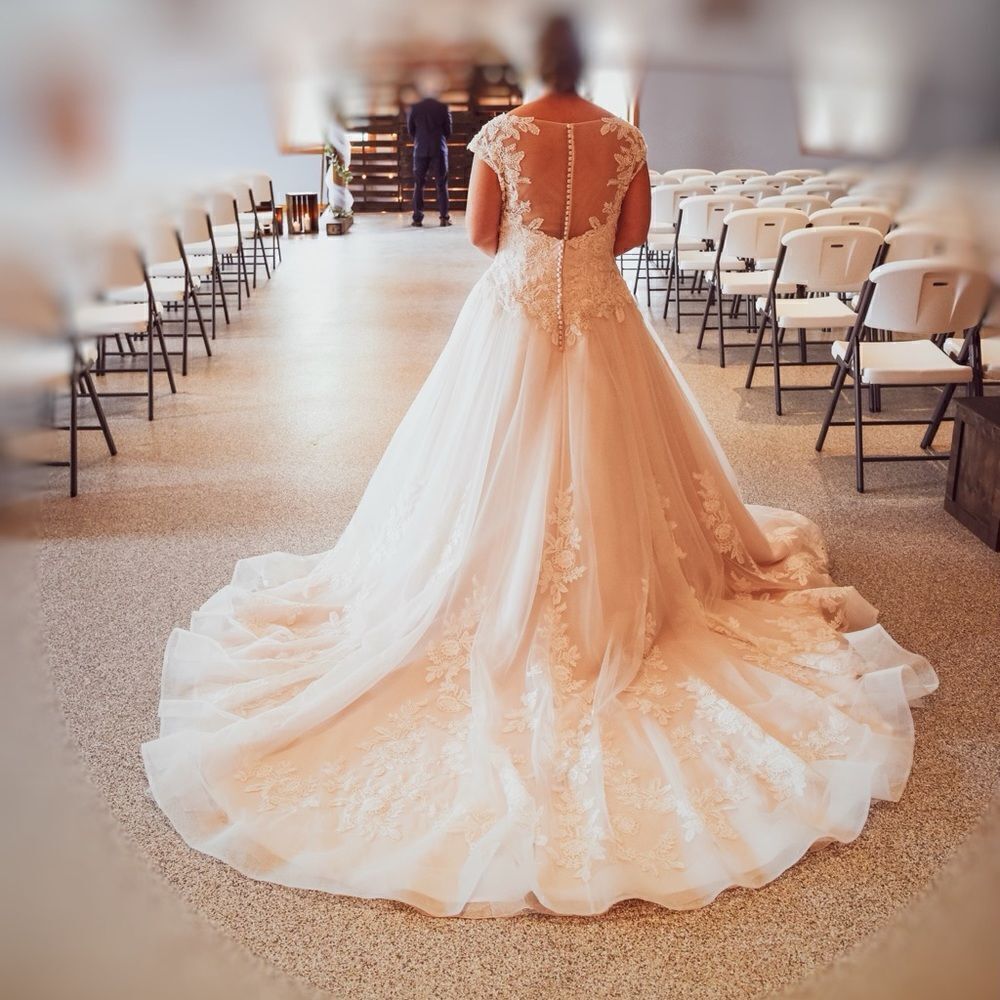 Davids Bridal Gorgeous Wedding Dress White-Peachy Shade beaded lacy sheer floral